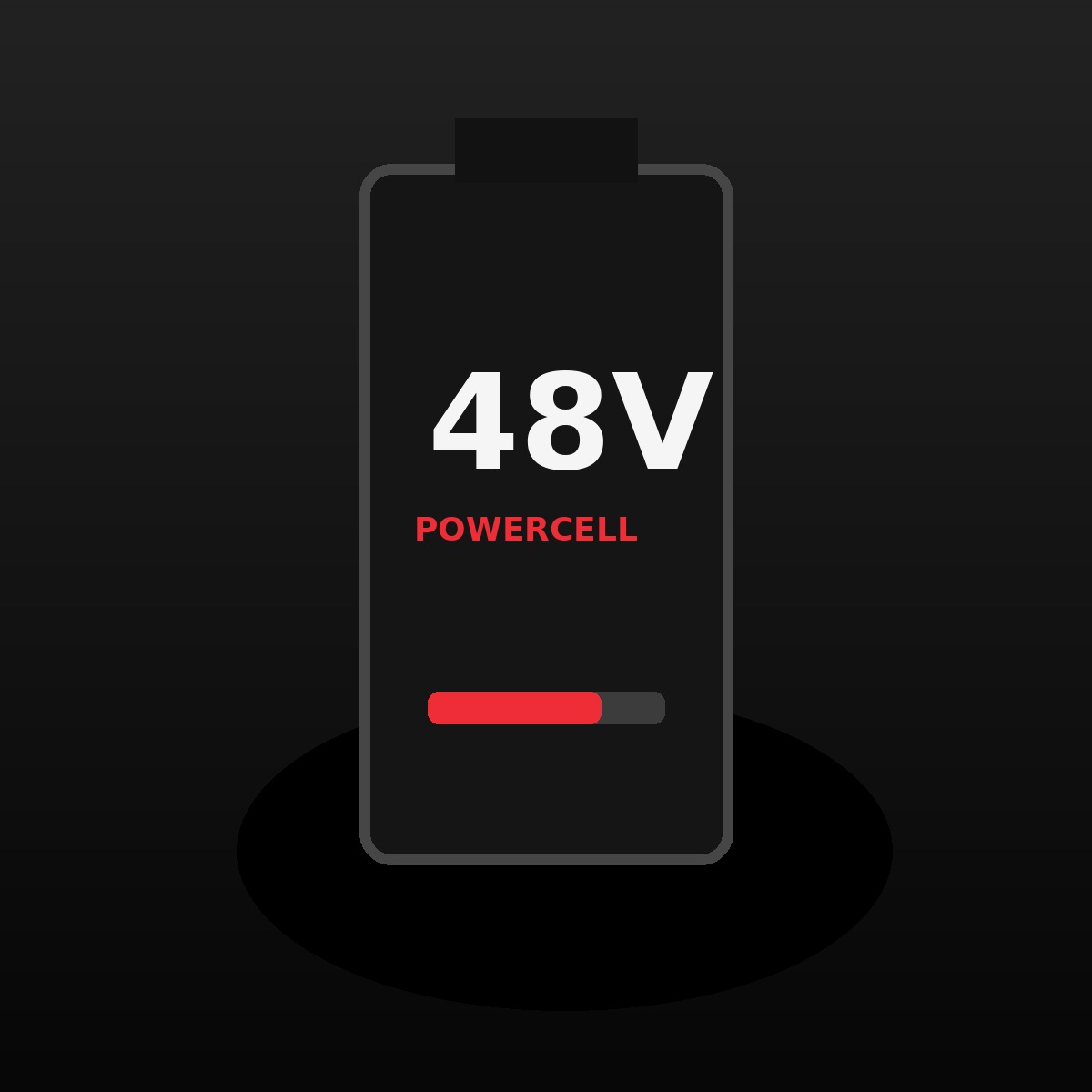 SIKE POWERCELL 48 removable battery module